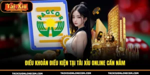 Điều khoản điều kiện