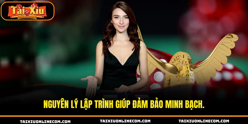 Nguyên lý lập trình giúp đảm bảo minh bạch.